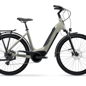 Winora Tria 10