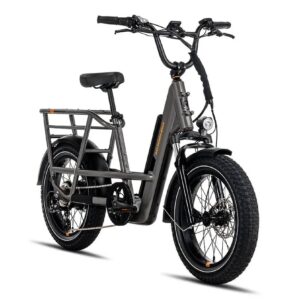Rad Power RadRunner 3 Plus